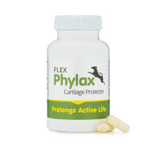 Phylax Cartilage Protector - 100 Capsules