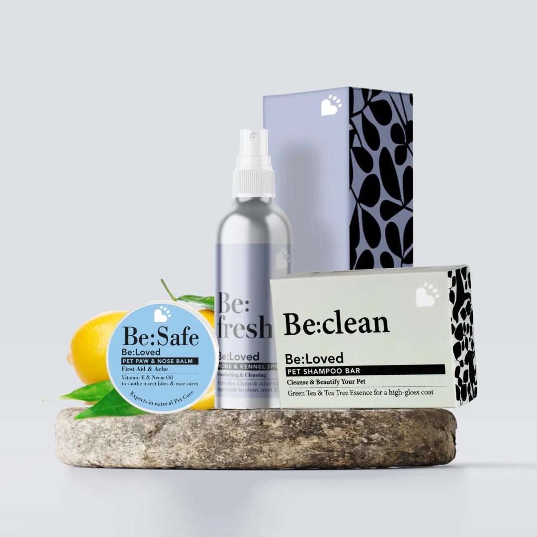 The Be:Loved Pet Travel Pack For Pets